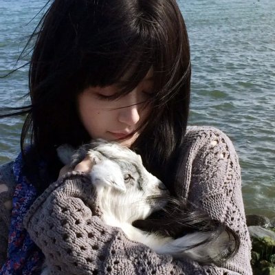 梅艳芳菲2008