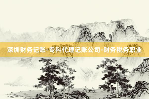 深圳财务记账-专科代理记账公司-财务税务职业