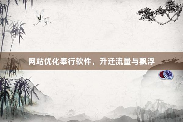 网站优化奉行软件，升迁流量与飘浮