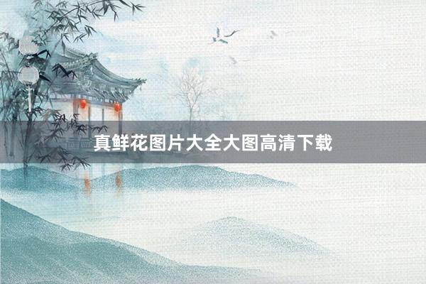 真鲜花图片大全大图高清下载